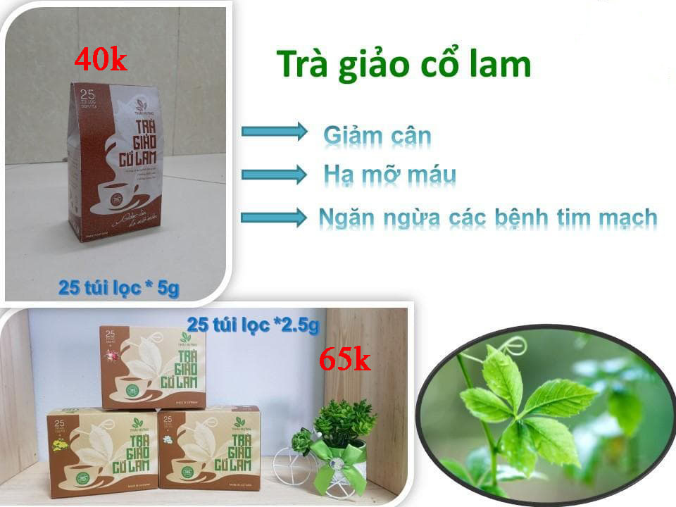 Trà giảo cổ lam Thái Hưng hộp 25 túi lọc 2.5 gam cao cấp