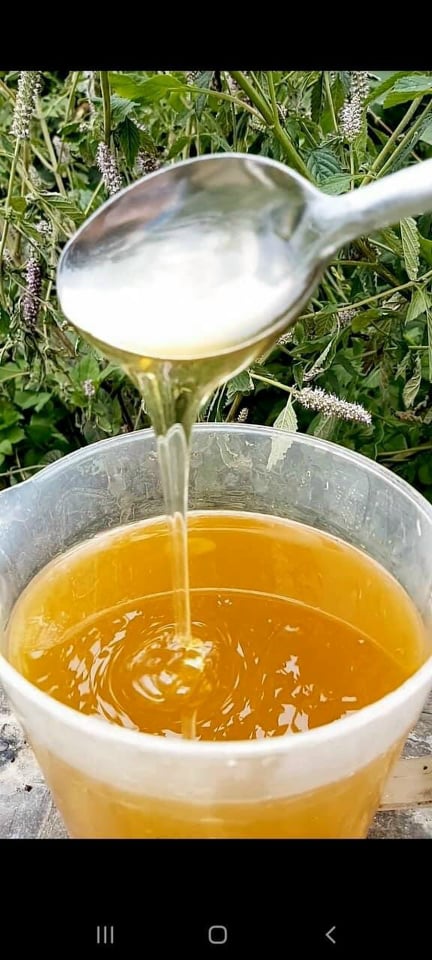 Mật ong rừng nguyên chất chai 1 lít (tuyển sỉ đại lý 0934449922)