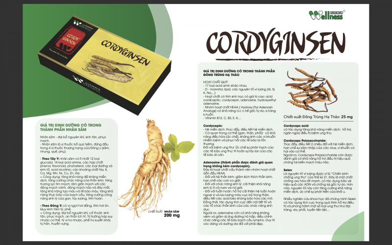 Thực phẩm bồi bổ nguyên khí nhân sâm Cordyginsen