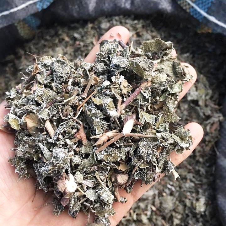 Chè dây chuẩn sạch